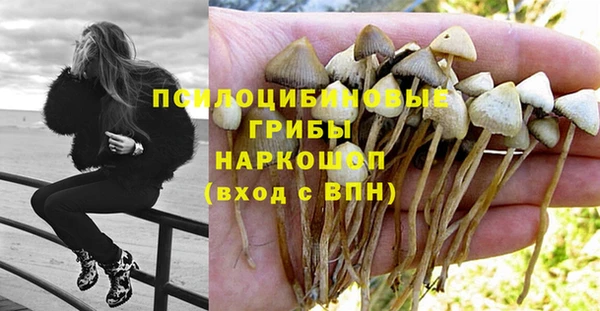 твердый Баксан